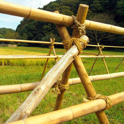 Natürlicher 10 Fuß Moso-Bambus Pole für errichtenden Garten-Bau