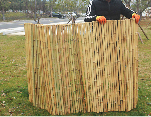 Geräucherter dekorativer Bambuszaun-Screen Fencing For-Kindertagesstätten-Garten-grünes Haus