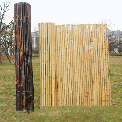 Geräucherter dekorativer Bambuszaun-Screen Fencing For-Kindertagesstätten-Garten-grünes Haus