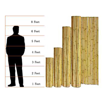 Geräucherter dekorativer Bambuszaun-Screen Fencing For-Kindertagesstätten-Garten-grünes Haus