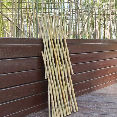 Dehnbarer Bambus-flexibler Gitter-Garten Polen, der für Balkon-Dekoration 120*180cm ficht