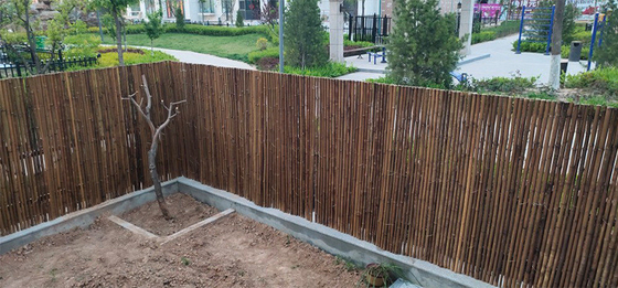 2x1.5m Bambusschirm, der Bambustäfelungshinterhof Decotative-Hausgarten einzäunt