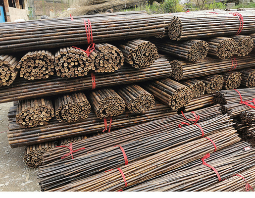 dekorativer Bambuszaun 200x100