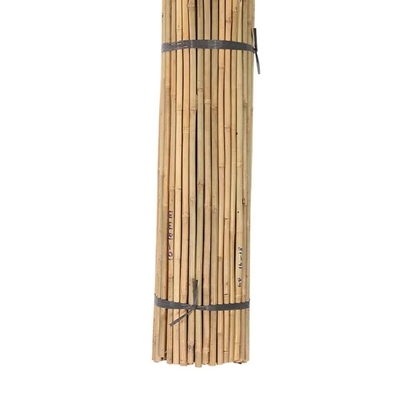 Bamboo-Blumenstangen Gartenstangen für Pflanzenunterstützung