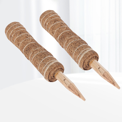 Moss Pole für Pflanzen Monstera, Pflanzen Stützpfähle für Indoor Kletterpflanzen, Monstera Pfähle Coco Coir Pole