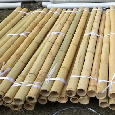 Bamboo-Blumenstangen Gartenstangen für Pflanzenunterstützung