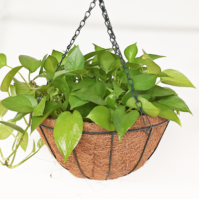 Coconut Coir Hängende Pflanzereien Außen Metalldraht Körbe Mit Coco Liner Hängende Töpfe Für Pflanzen Innen