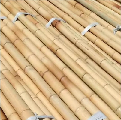 Natürliche Roh-Bamboo-Stäbe Gerade Bambus-Baum-Pfähle Große Bambus-Stäbe zur Dekoration