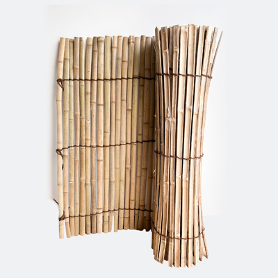 Bamboo-Slats Outdoor Screen Fence Rolls Großhandel Natürliche Bambus-Fencing Slat Rolls Großhandel aus Vietnam Fabrik