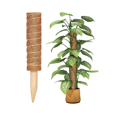 Kokospalmen Kokospalmen Moss Stick Totempfahl Kokospalmen Totempfahl Pflanzenunterstützung Erweiterung Klettern Innenpflanzen Kriecher