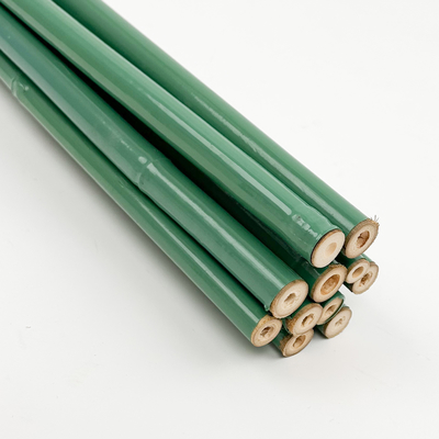 Gemachte grüne PVC-beschichtete Bambusbehandelte Blumenstütze Tonkin Bambus Plastikrohrstange