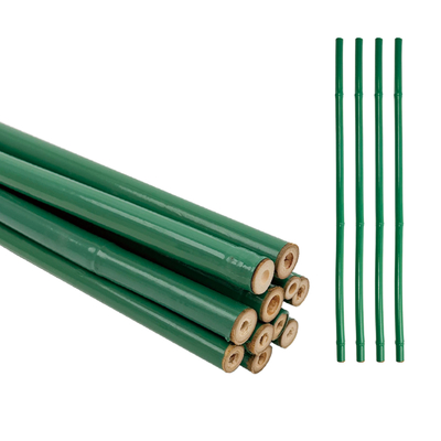 Gemachte grüne PVC-beschichtete Bambusbehandelte Blumenstütze Tonkin Bambus Plastikrohrstange
