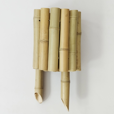 Elegantes, natürliches Bambuszaun für einen schönen Garten