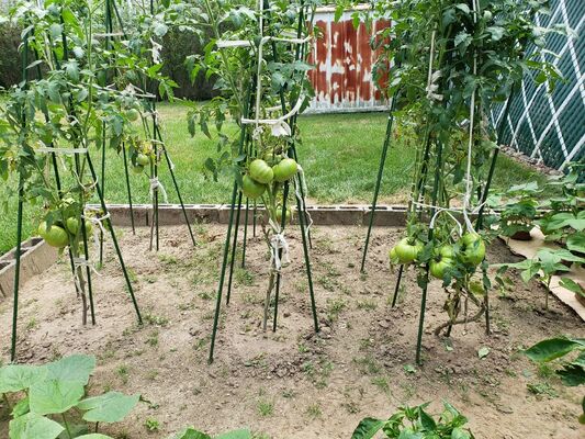 Kunststoffbeschichtete Metallpfähle Grüne Gartenpfähle für Pflanzenunterstützung Pflanzenklettern Landschaftszaun