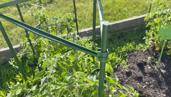 Kunststoffbeschichtete Metallpfähle Grüne Gartenpfähle für Pflanzenunterstützung Pflanzenklettern Landschaftszaun