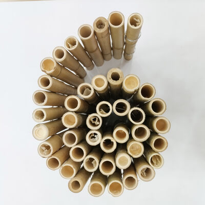 Flexible Bamboo Short Fence: Eco-Friendly Outdoor Landscape Edging & Decorative Border