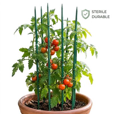 Natürliche Bambus-Blumenpfähle, biologisch abbaubare Gartenpflanzenstütze, individuelle Größen, Farben für Baumschulen